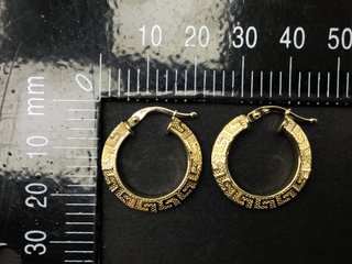 E696553-14 ARGOLLAS ORO 18K