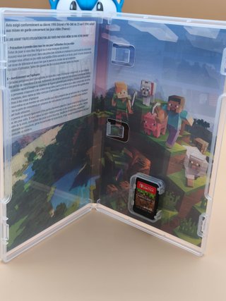 Minecraft Nintendo Switch