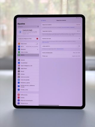 iPad Pro 13'' M4 512GB WiFi+Cellular (100% batteria)