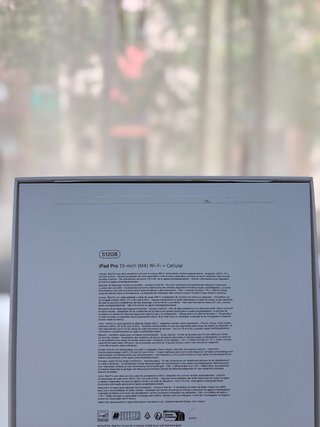 iPad Pro 13'' M4 512GB WiFi+Cellular (100% batteria)