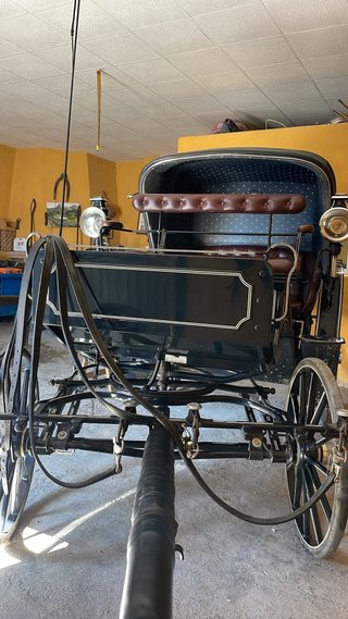 Carro de capota con arreos 2 caballos