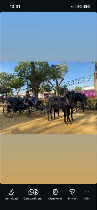 Carro de capota con arreos 2 caballos