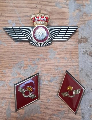 Insignia militar con corona y alas