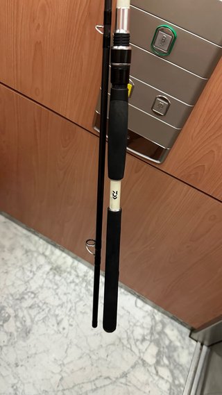 Caña Daiwa Spitfire 3m 24-84gr
