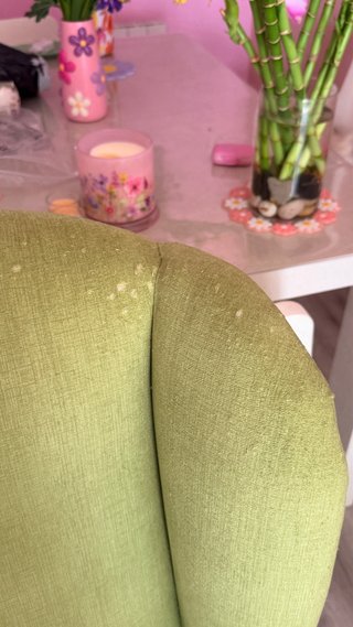 Butaca verde estilo clásico