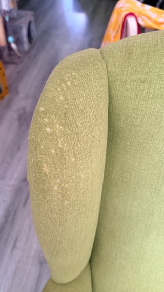 Butaca verde estilo clásico