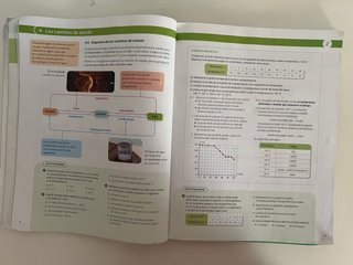 Física y Química, 2 ESO, Serie Ensayamos, Proye...