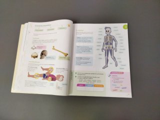 CIENCIAS DE LA NATURALEZA 5 PRIMARIA CONSTRUYEN...