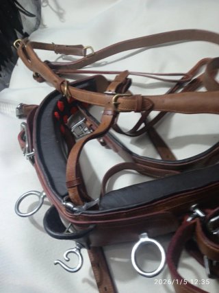 Arneses para caballos de cuero