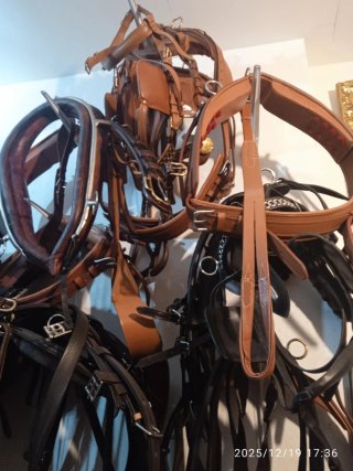 Arneses para caballos de cuero