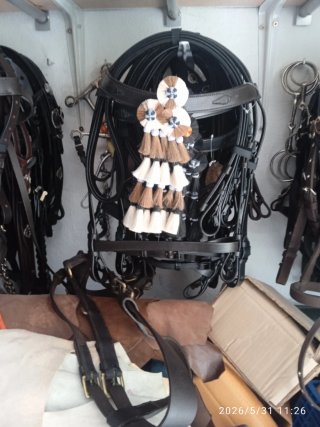 Arneses para caballos de cuero