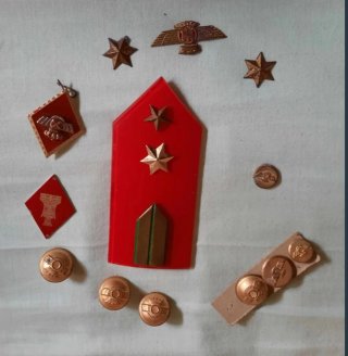 Insignias militares y botones