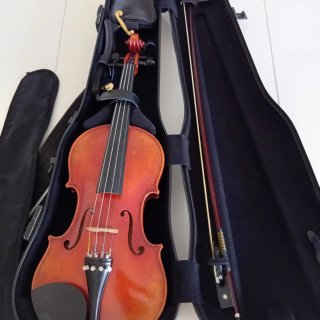 Violino Gewa Maestro 4/4 400165 prezzo trattabile