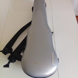 Violino Gewa Maestro 4/4 400165 prezzo trattabile