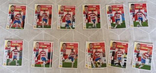 Cromos Panini Temporada 2020/21 (0,25€unidad)