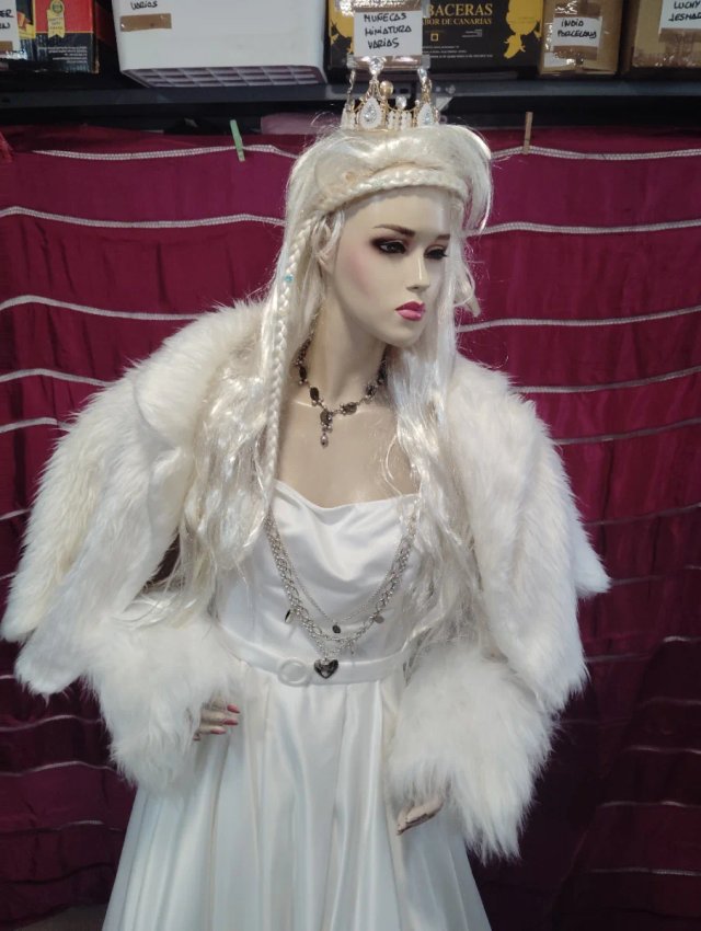 Disfraz Reina Blanca