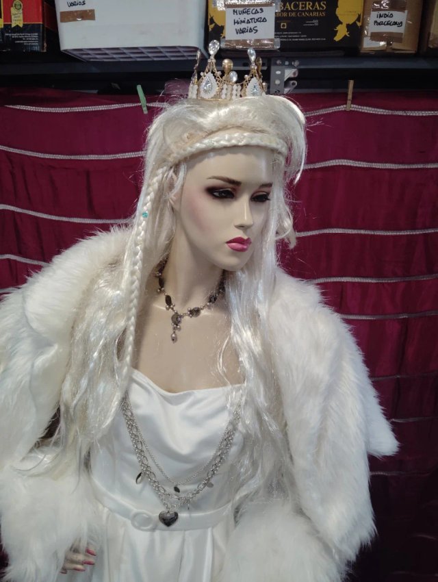Disfraz Reina Blanca