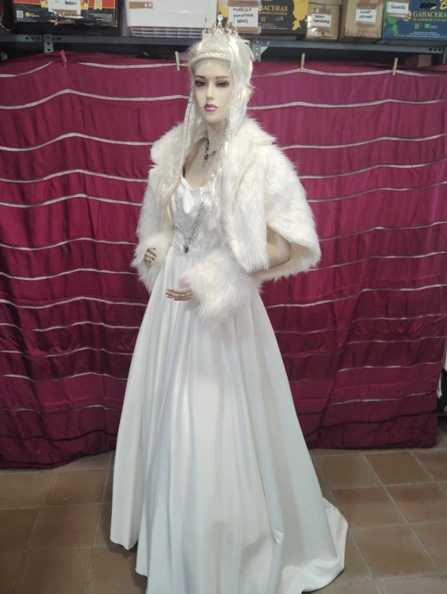 Disfraz Reina Blanca