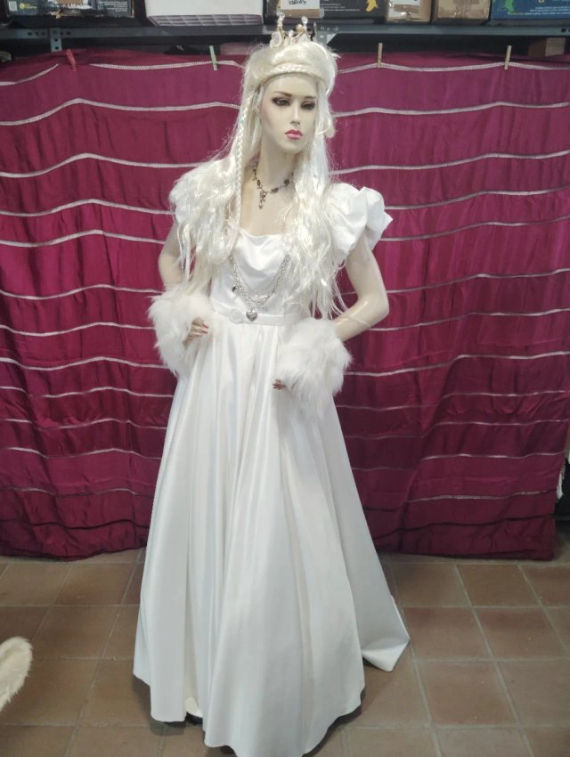 Disfraz Reina Blanca