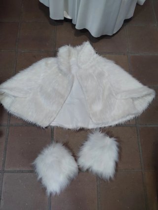Disfraz Reina Blanca