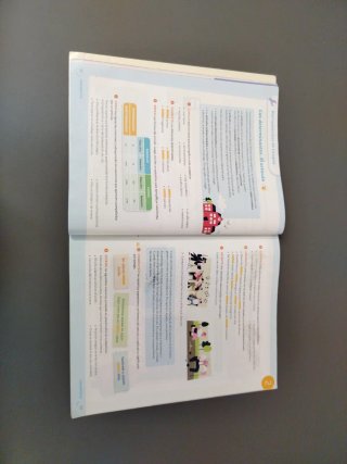 Lengua castellana 5 primaria