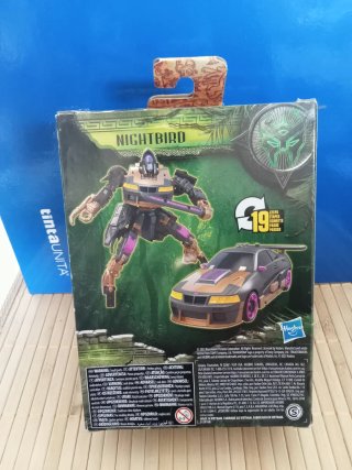 Transformer nightbird