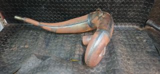 Bufanda fresco silencioso Gas Gas EC 250/300 2001