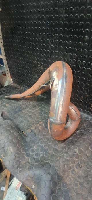 Bufanda fresco silencioso Gas Gas EC 250/300 2001