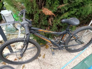 Bicicleta de Montaña Mythical