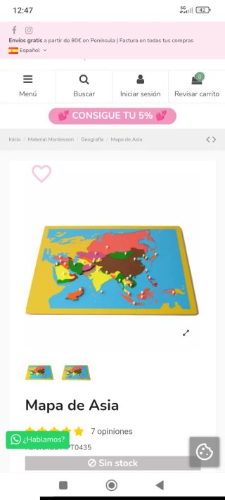 Puzzle Montessori Mappa Asia