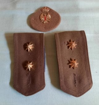 Insignia militar corona y águila