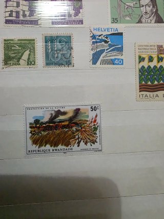 LAST PRICE Lotto francobolli agricoltura