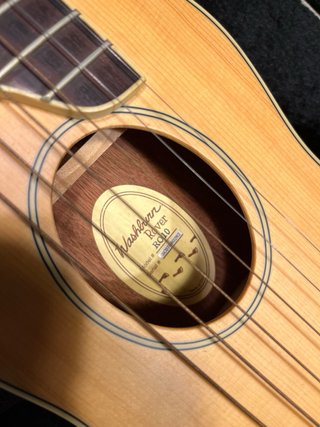 Washburn Rover R010 Guitarra Acústica