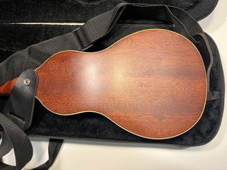 Washburn Rover R010 Guitarra Acústica