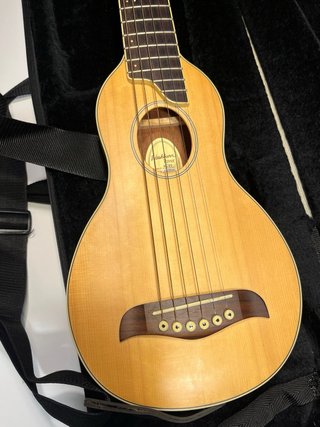Washburn Rover R010 Guitarra Acústica