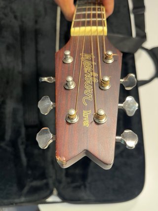 Washburn Rover R010 Guitarra Acústica