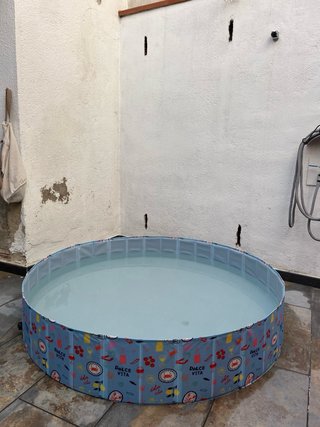 Piscina Infantil/Mascotas 160cm