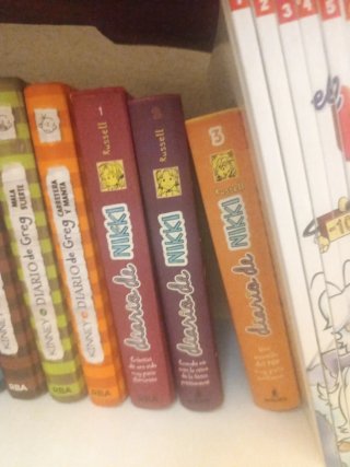 Libros el Diario de Nikki