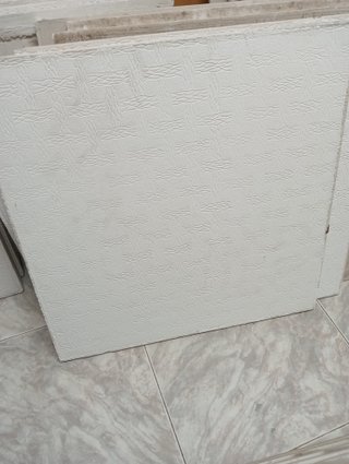 40 Placas Techo Escayola