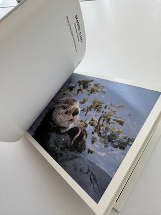 Collezione Cartoline Alaska: Inside Passage