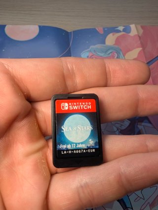 Sea of Stars per Nintendo Switch
