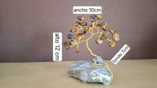 Árbol Ojo de Tigre Pequeño