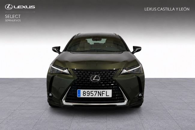 Lexus UX 2025, foto 2