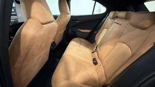 Lexus UX 300H +