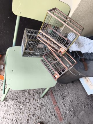 Jaula para pájaros de madera y metal