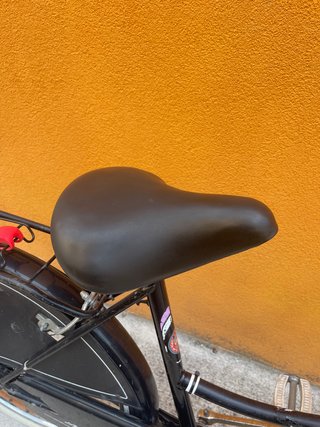 Bicicletta Atala 24" donna con cestino