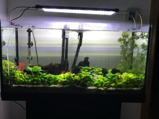 Acuario 100L + Accesorios. No hago envíos.