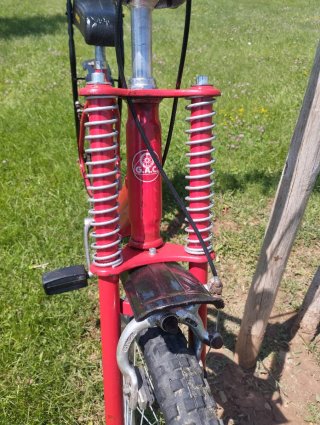 Bici GAC motoretta - 2