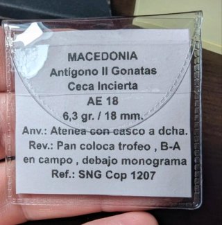 Moneda griega Macedonia Antígono II