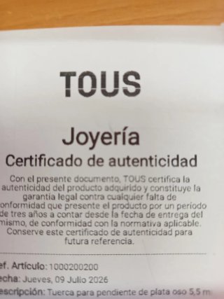 Tuerca pendiente oso Tous Plata